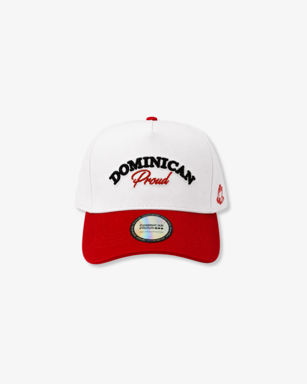 gorra dp3 GORRA DP3